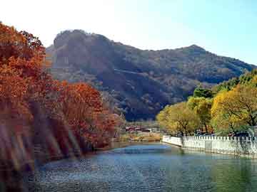 戴顺智，平塘黑帽seo